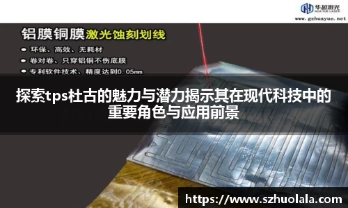 探索tps杜古的魅力与潜力揭示其在现代科技中的重要角色与应用前景