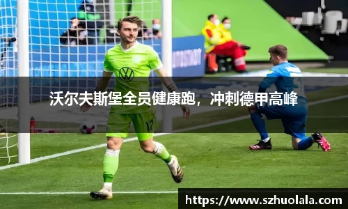 球盟会手机网页版登录